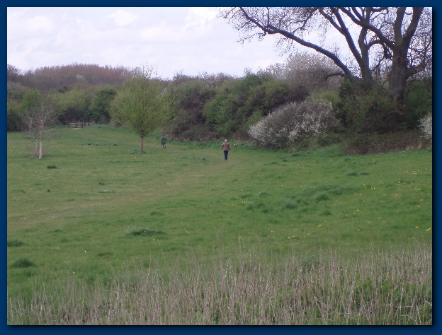 600x449 pixels (130K)